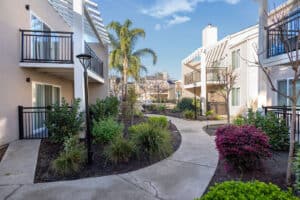 Bart Springs Hayward Apartments Courtyard